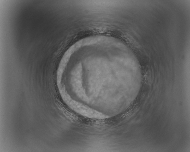 X0000075380961200610061835