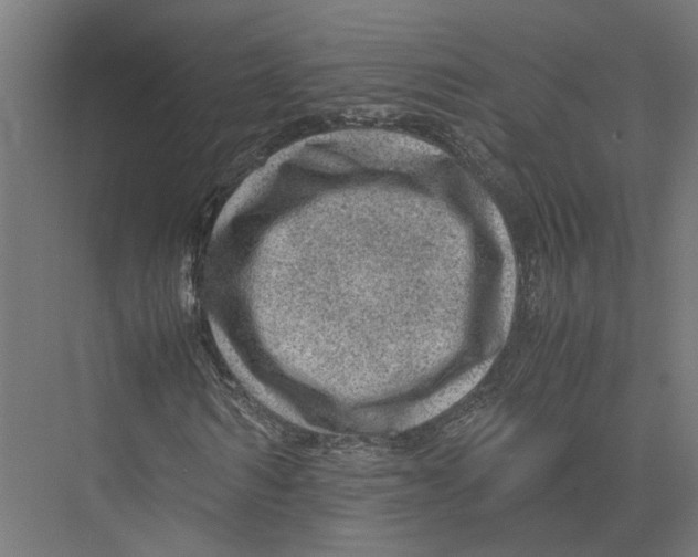 X0000075380962200610061835