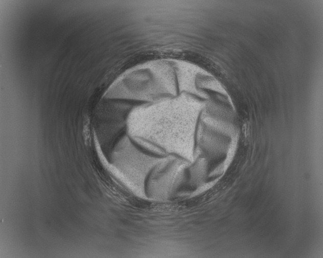 X0000075380963200610061835