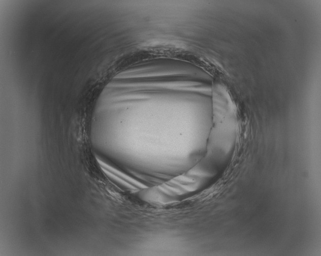 X0000075380965200610061834