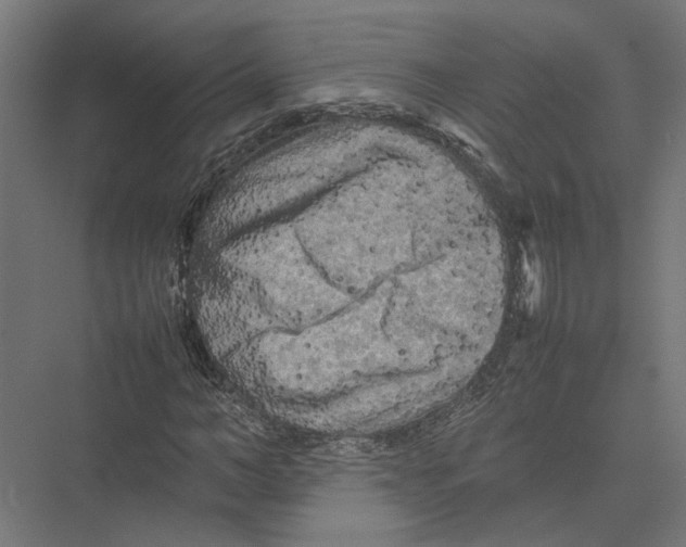 X0000075380966200610061834