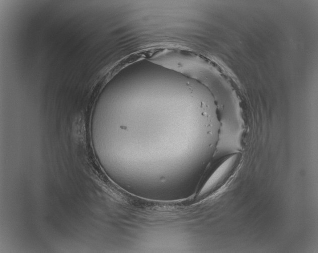 X0000075380969200610061834