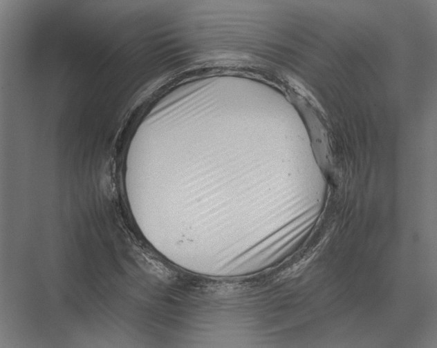 X0000075380970200610061834