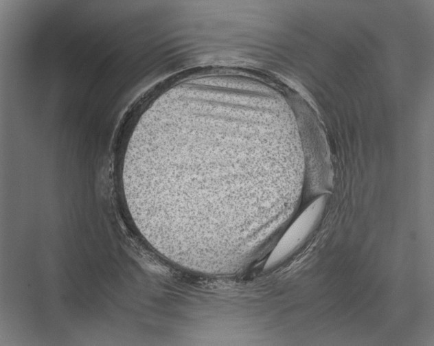 X0000075380971200610061834