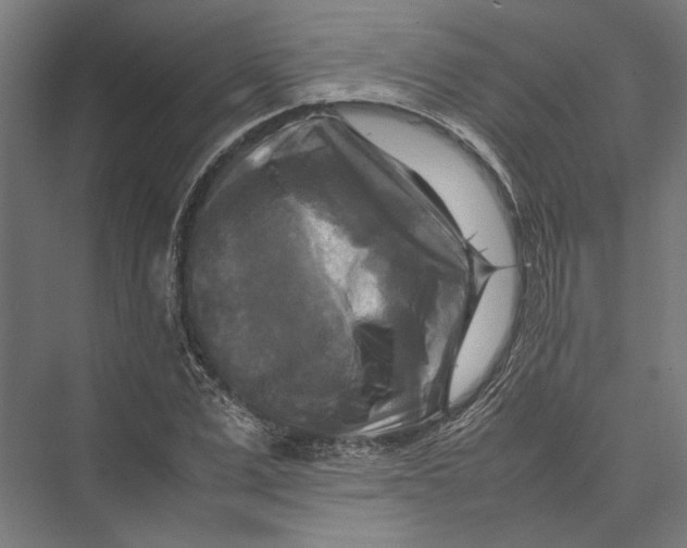 X0000075380975200610061834