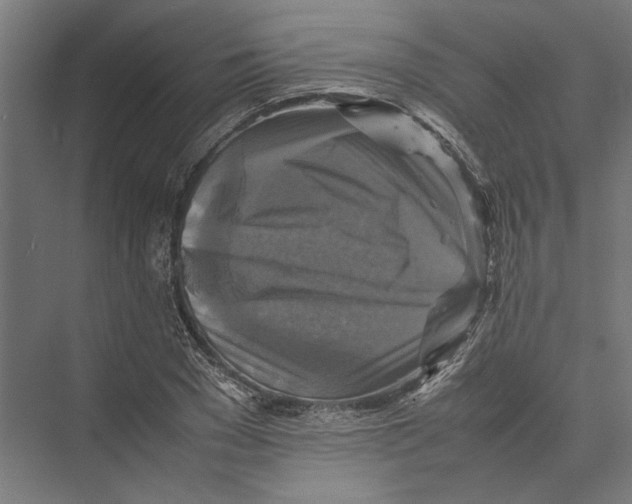 X0000075380977200610061834