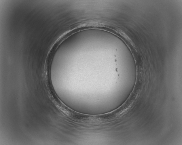 X0000075380981200610061834