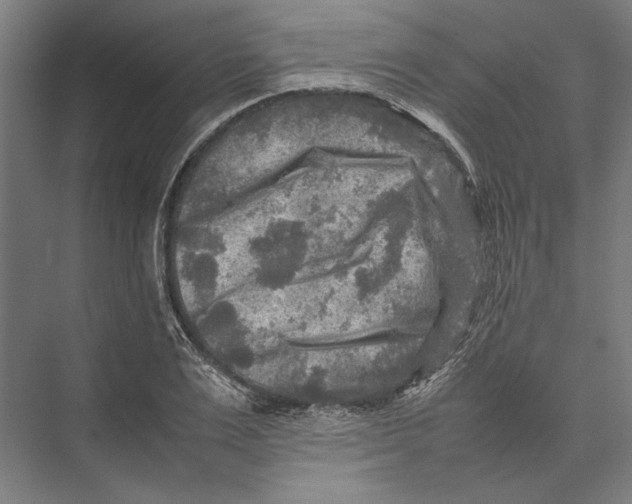 X0000075380983200610061834