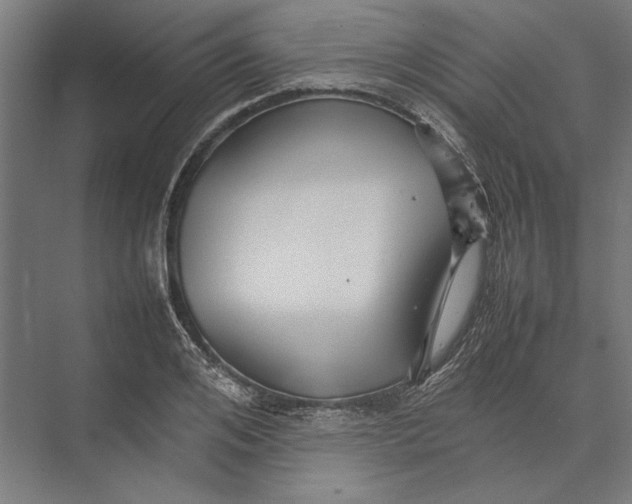 X0000075380984200610061834