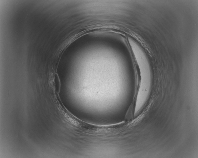 X0000075380985200610061834