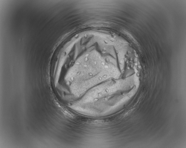 X0000075380986200610061834