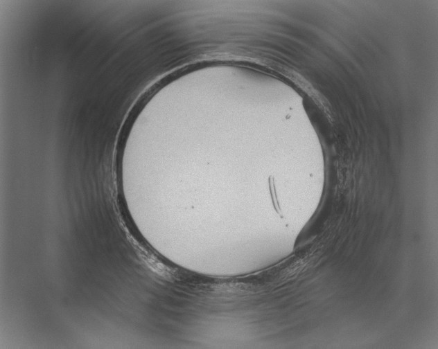 X0000075380988200610061834