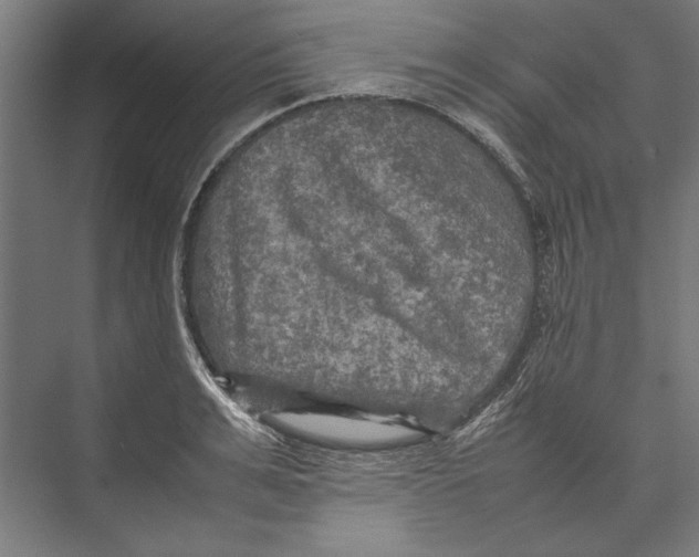 X0000075380991200610061834