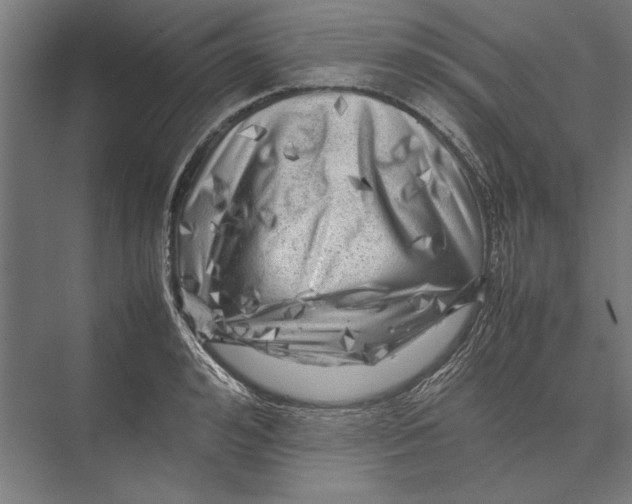 X0000075380992200610061834