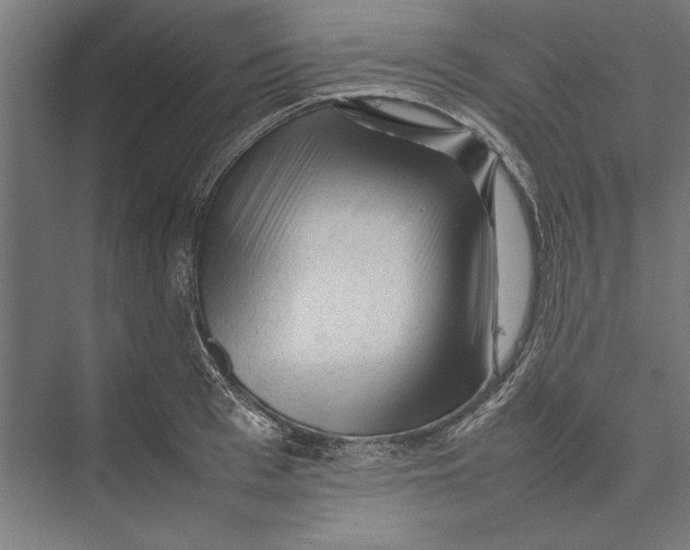 X0000075380993200610061834