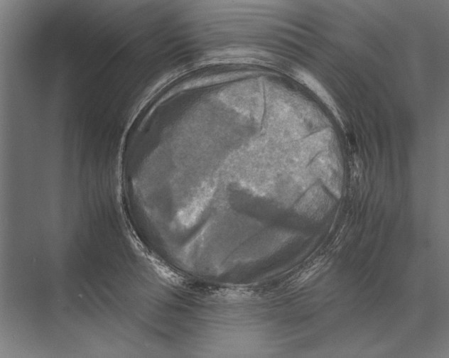 X0000075380994200610061834