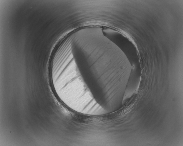 X0000075380995200610061834