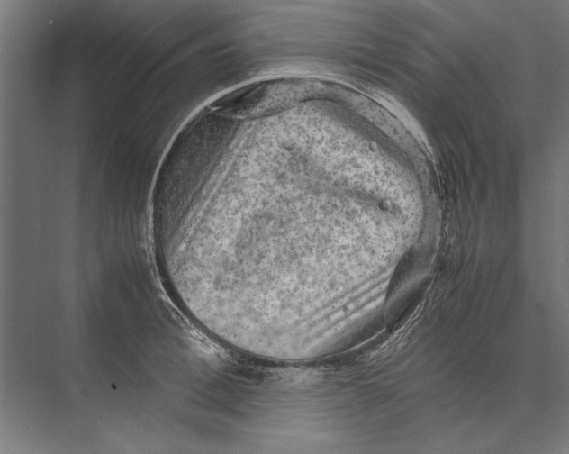 X0000075380996200610061834