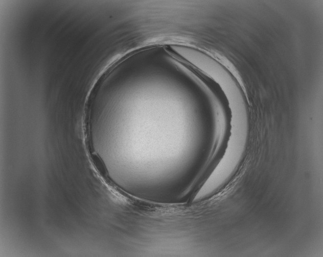 X0000075380997200610061834