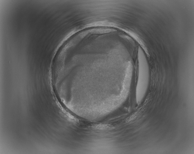 X0000075380998200610061834