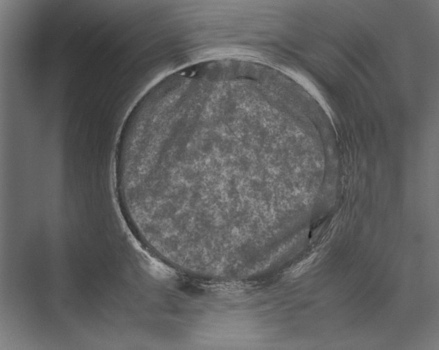 X0000075380999200610061834