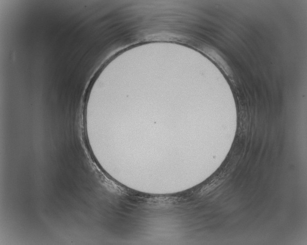 X0000075381000200610061834