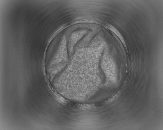 X0000075381002200610061834