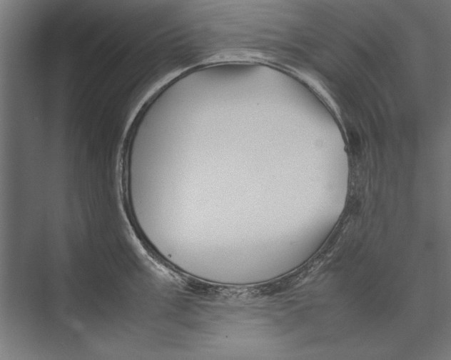 X0000075381003200610061834