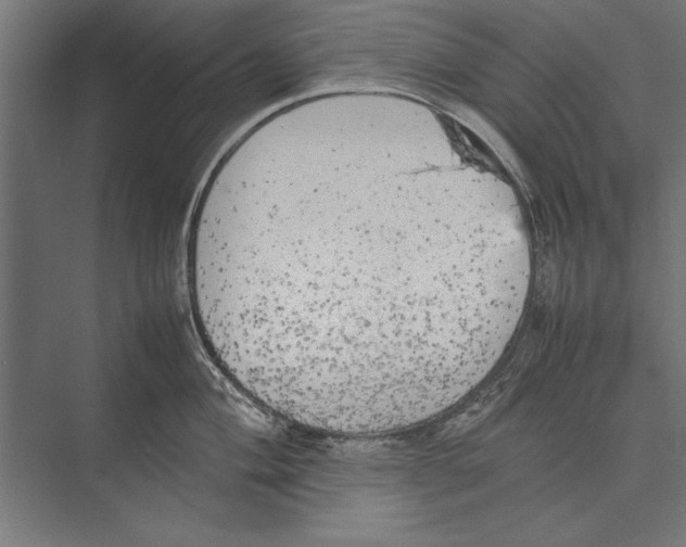 X0000075381004200610061834