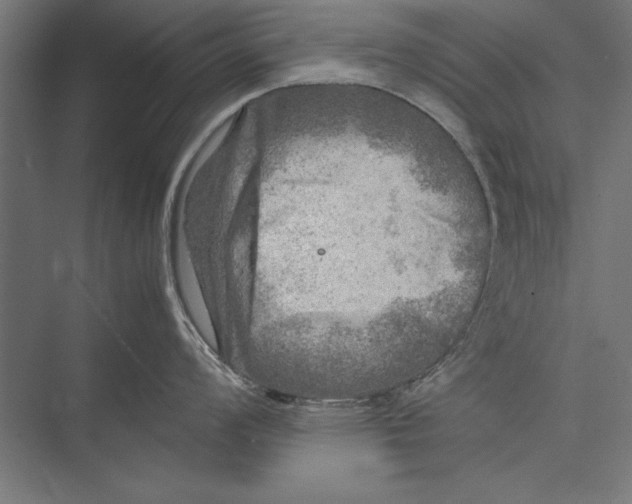 X0000075381008200610061834