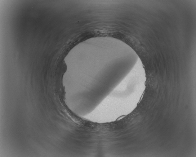 X0000075381009200610061833