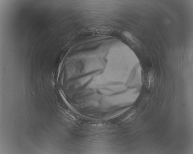 X0000075381010200610061833