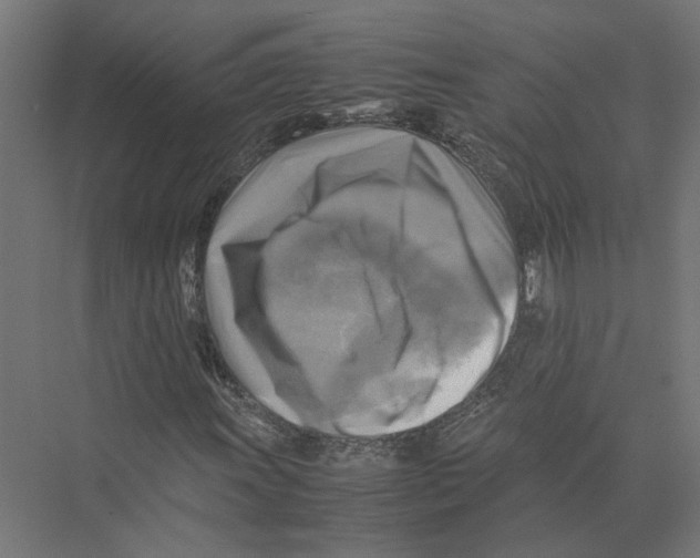 X0000075381011200610061833