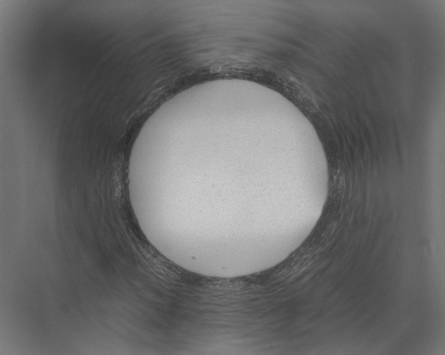 X0000075381012200610061833