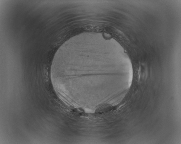 X0000075381013200610061833