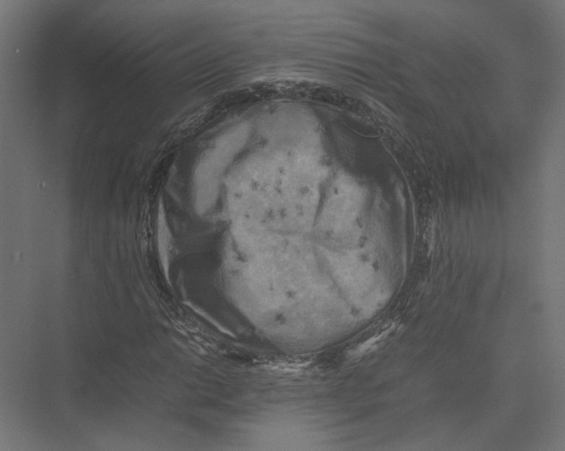 X0000075381014200610061833