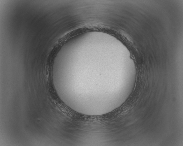 X0000075381016200610061833