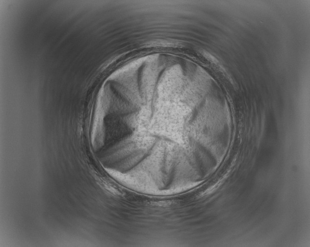 X0000075381017200610061833