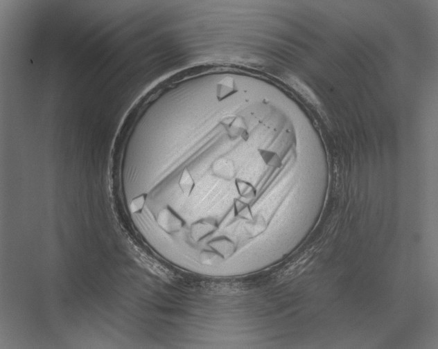 X0000075381020200610061833