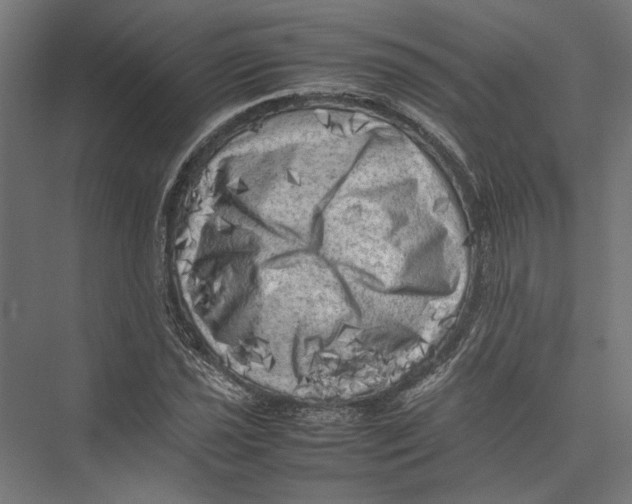 X0000075381021200610061833