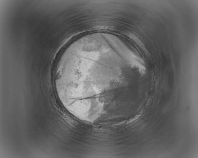 X0000075381023200610061833