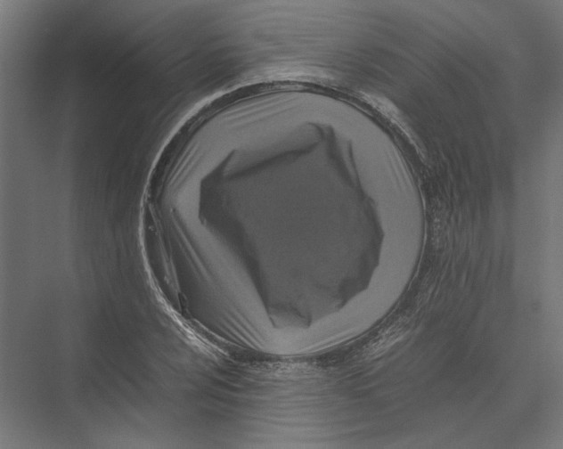 X0000075381024200610061833