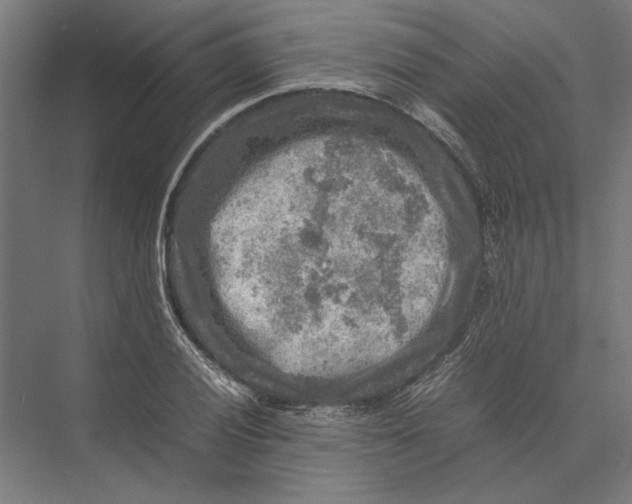 X0000075381028200610061833