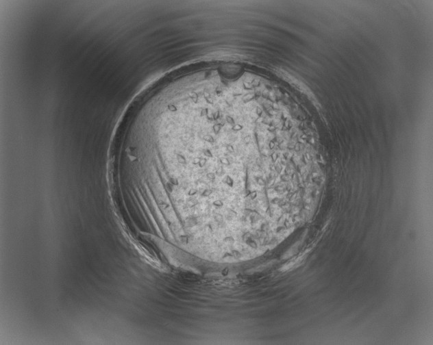 X0000075381029200610061833