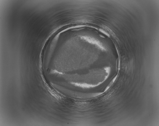 X0000075381031200610061833