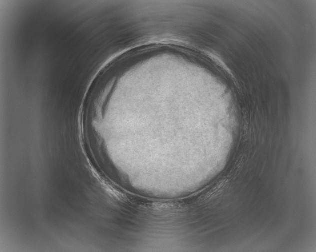 X0000075381032200610061833