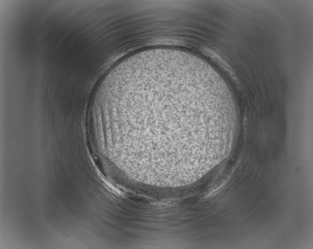 X0000075381033200610061833