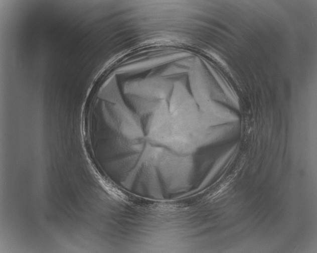 X0000075381034200610061833