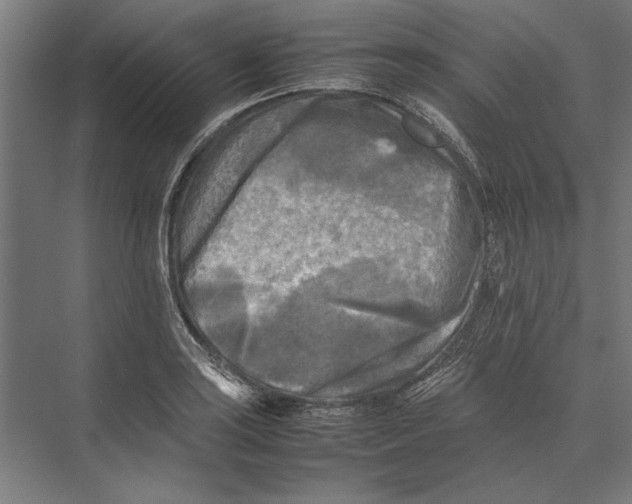 X0000075381035200610061833