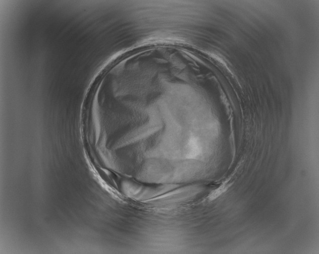 X0000075381038200610061833